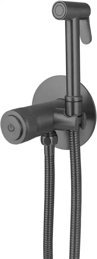 Смеситель с гигиеническим душем Allen Brau Liberty 5.33005-MG (с внутренней частью) графит браш фото 1