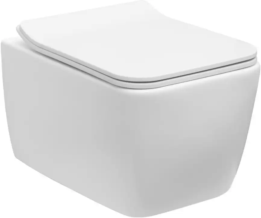 Подвесной унитаз Allen Brau Liberty 4.33007.21 безободковый, цвет белый матовый фото 1