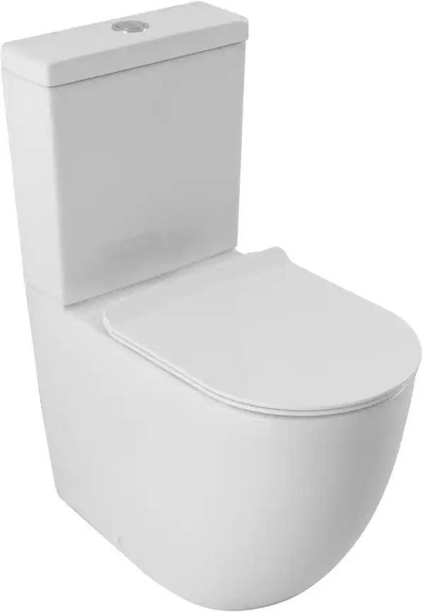 Чаша напольного унитаза Aquanet ZV-2-C1 с сиденьем микролифт, белый фото 1