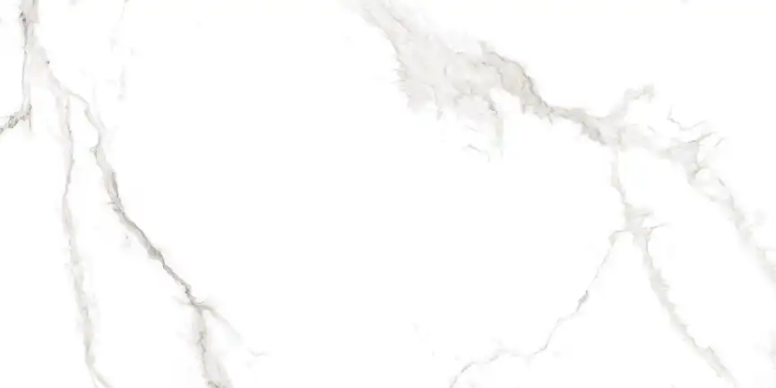 Керамогранит AZARIO MARTIN GREY 60х120 Glossy (F4110821124G) фото 1