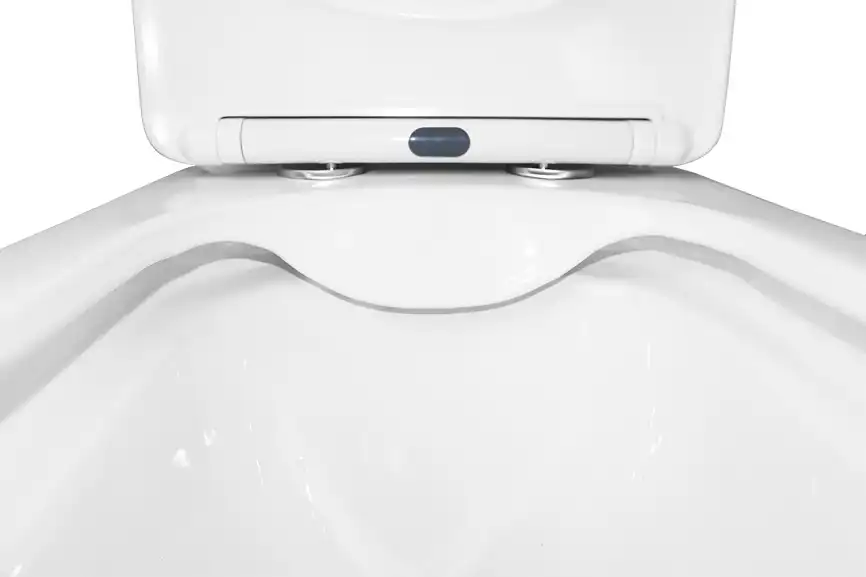 Унитаз напольный Azario VELISE AZ-1222A безободковый, с бачком и сидением микролифт, Белый глянцевый фото 4