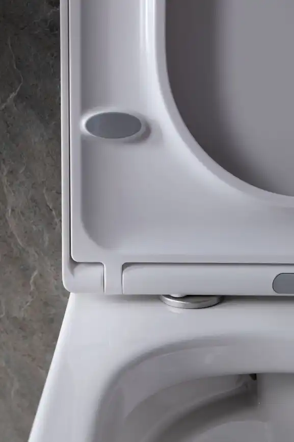 Подвесной безободковый унитаз Allen Brau Infinity 4.21004.20 без сиденья, белый глянец фото 28