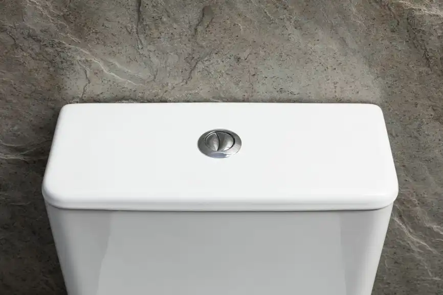 Напольный унитаз Allen Brau Priority Tornado 4.31006.20 безободковый, цвет белый глянец фото 4