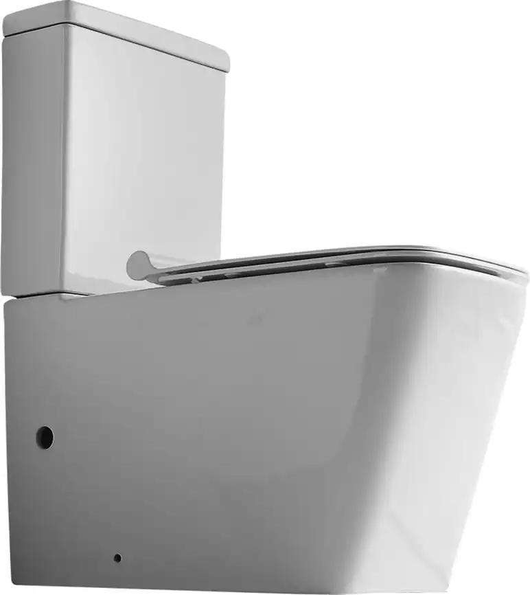 Унитаз напольный Logan L2C с сидением Soft Close -SLIMSEAT фото 6