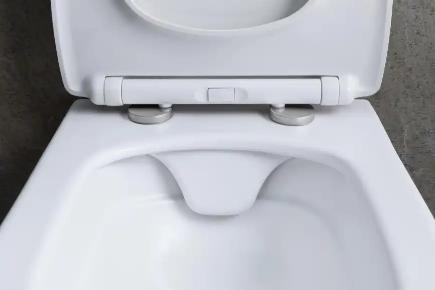 Подвесной унитаз Allen Brau Liberty 4.33007.21 безободковый, цвет белый матовый фото 3