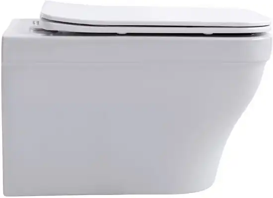 Унитаз подвесной Aquanet Elegant Rimless Elegant W LX-1163 Soft Close, белый фото 4