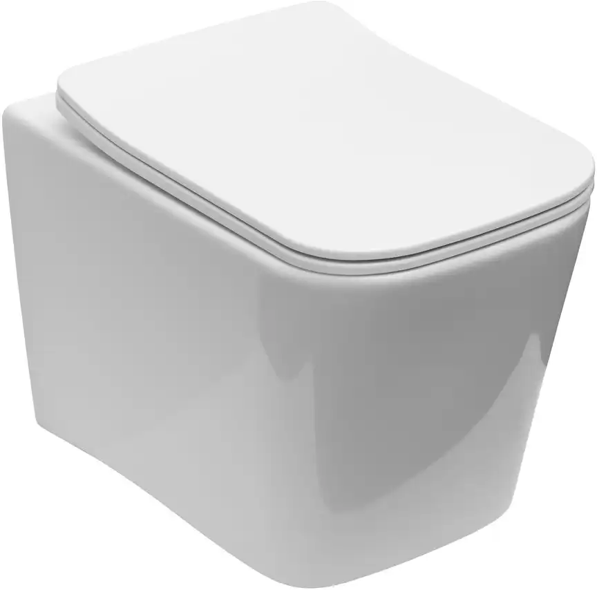 Унитаз подвесной Logan L2W NEW с сиденьем микролифт, белый фото 1