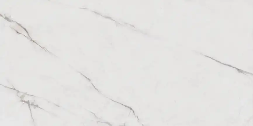 Керамогранит AZARIO CRUSTY BIANCO FANTASTICO 80х160 Carving (F231123016C) фото 3