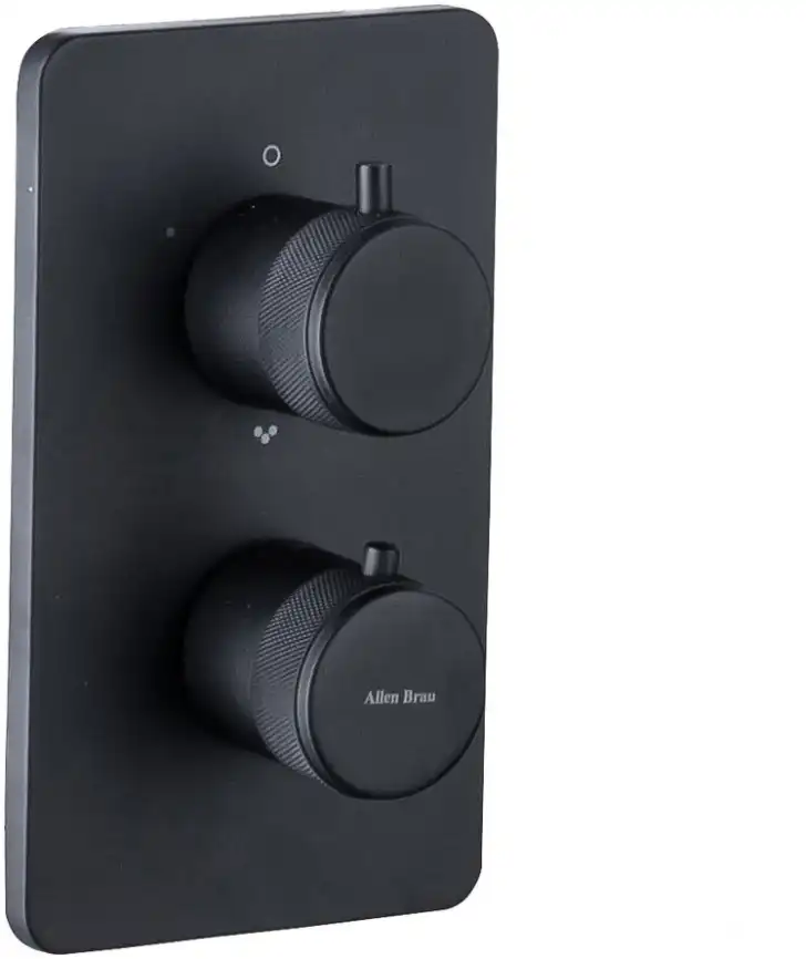 Смеситель для душа Allen Brau Priority 5.31213-31 встраиваемый, с внутренней частью, Черный матовый фото 1