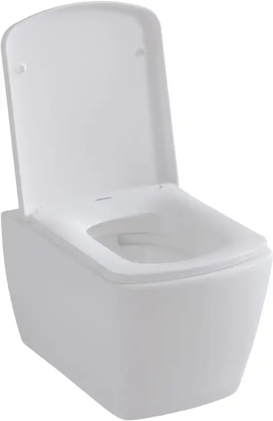 Крышка-сиденье для унитаза Allen Brau Liberty 4.33006.20 белый глянец фото 8