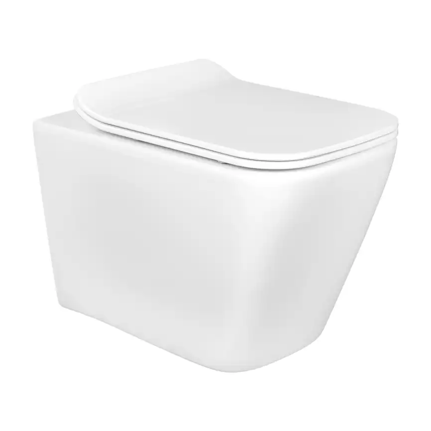 Подвесной унитаз Aquatek Дельта AQ1911-00 безободковый, с сиденьем микролифт, Белый фото 1