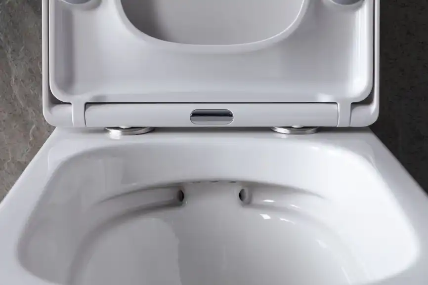 Подвесной безободковый унитаз Allen Brau Liberty 4.33004.20 без сиденья, белый глянец фото 26