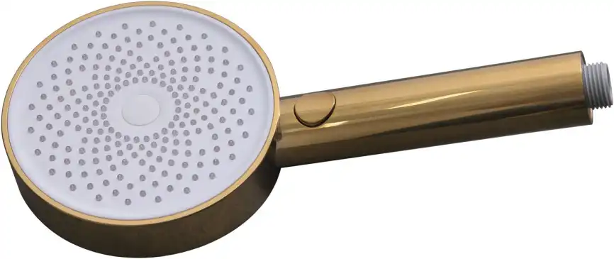 Душевая лейка Allen Brau Priority 5.31B20-GB золото брашированное фото 3