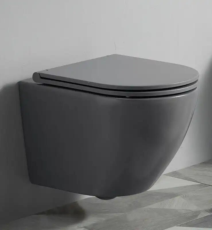 Унитаз подвесной CeramaLux 2197MG, безободковый с сиденьем Микролифт Серый матовый фото 1