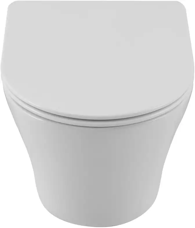 Унитаз подвесной Aquanet ZV-3 с сиденьем микролифт, белый фото 3