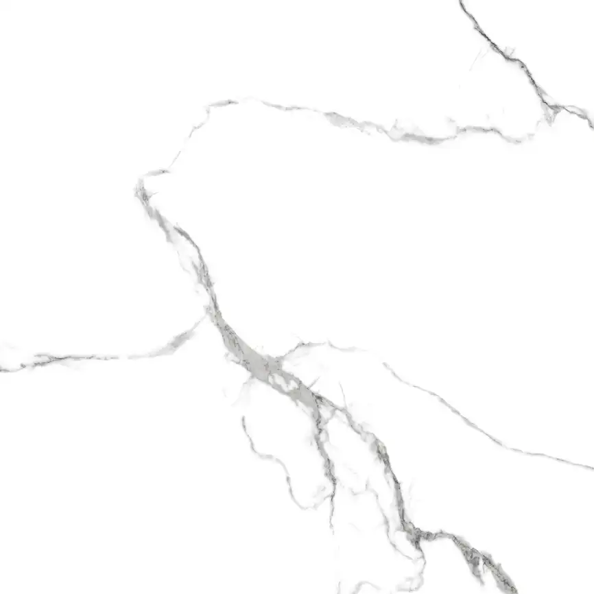 Керамогранит AZARIO CALACATTA  ELEGANZA 60х60 Glossy (F109082189G) фото 4
