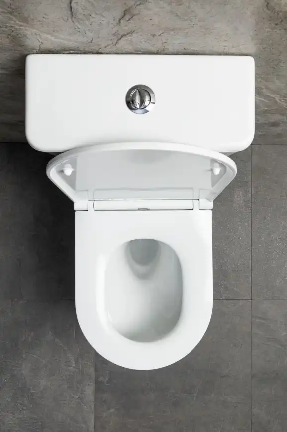 Напольный унитаз Allen Brau Priority Tornado 4.31006.20 безободковый, цвет белый глянец фото 3