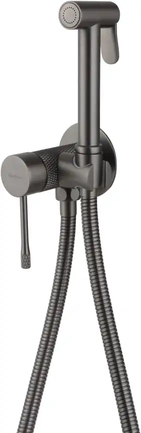 Смеситель с гигиеническим душем Priority 4.0 Allen Brau 5.31С29-MG (с внутренней частью) графит браш фото 1