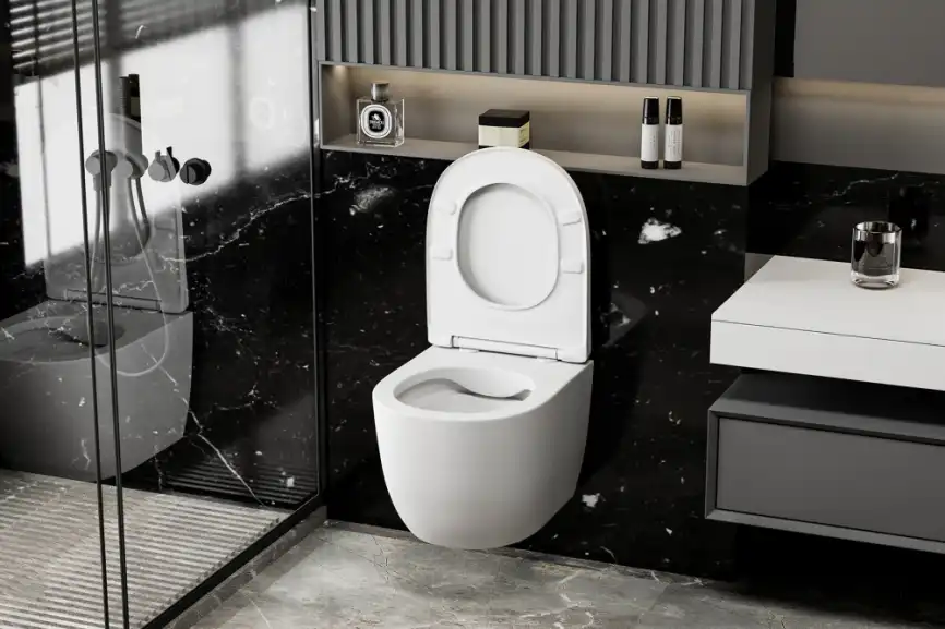 Подвесной унитаз ABBER Bequem AC1100MW белый матовый, безободковый, с сиденьем микролифт фото 4