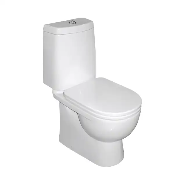 Унитаз-компакт Sanita Luxe Fest с быстросъемным сидением микролифт фото 1