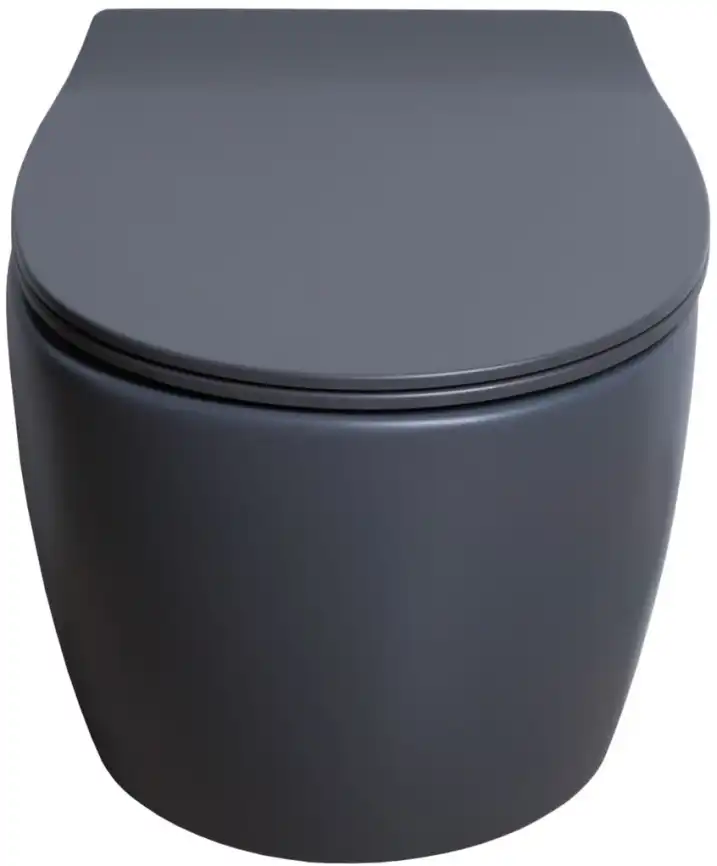Подвесной безободковый унитаз Allen Brau Fantasy 4.11004.AN без сиденья, антрацит фото 11