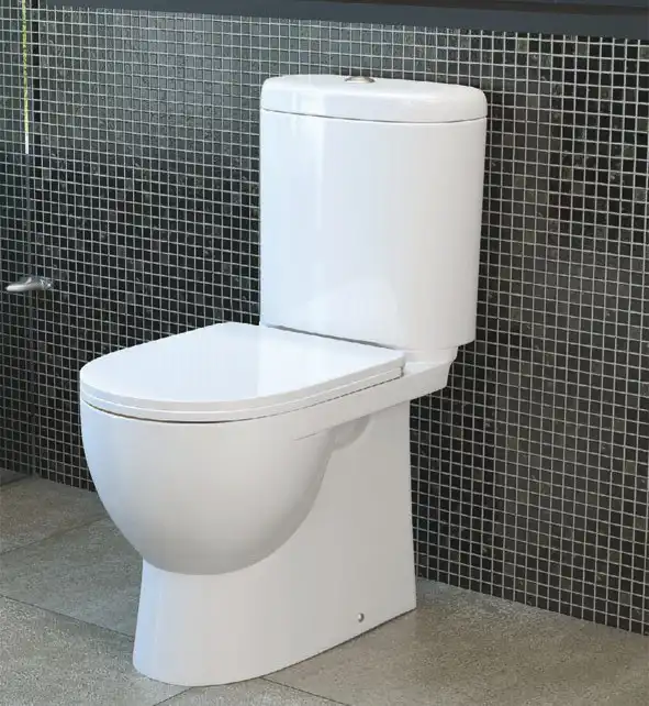 Унитаз- компакт Sanita Luxe Art с сиденьем микролифт ()ARTSLCC01040622 фото 2