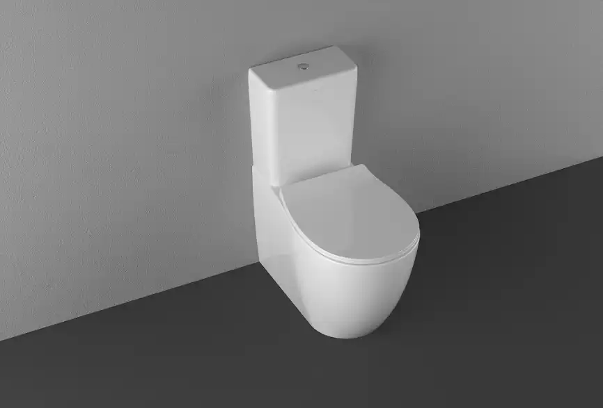 Напольный унитаз Allen Brau Fantasy 4.11009.20 белый глянец фото 3