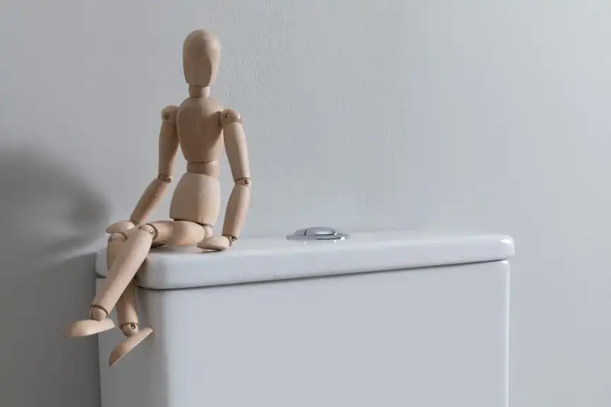 Чаша напольного унитаза Aquanet Fine Rimless FINE-C Soft Close с сиденьем микролифт фото 20