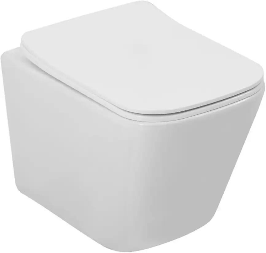 Унитаз подвесной Aquanet Tavr 3.0 Tornado с сиденьем микролифт 348007, белый фото 1