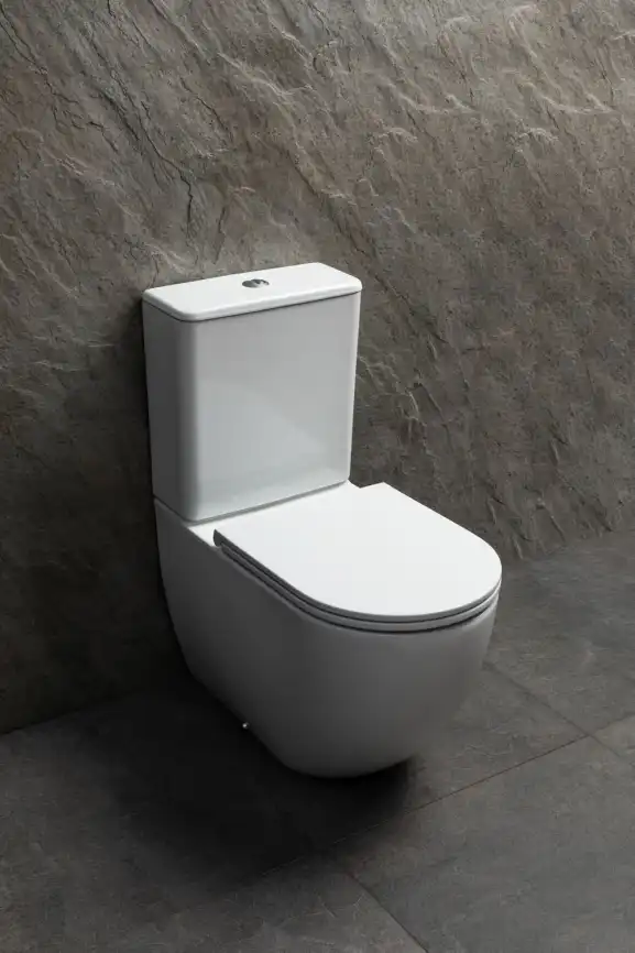 Напольный унитаз Allen Brau Priority Tornado 4.31006.20 безободковый, цвет белый глянец фото 7