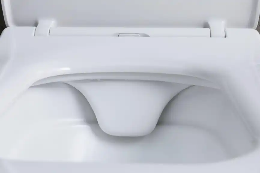 Подвесной унитаз Allen Brau Liberty 4.33007.21 безободковый, цвет белый матовый фото 10