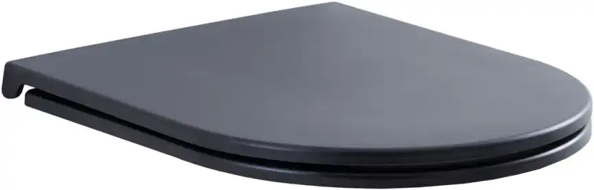Сиденье для унитаза Aquanet Lake черный матовый фото 4