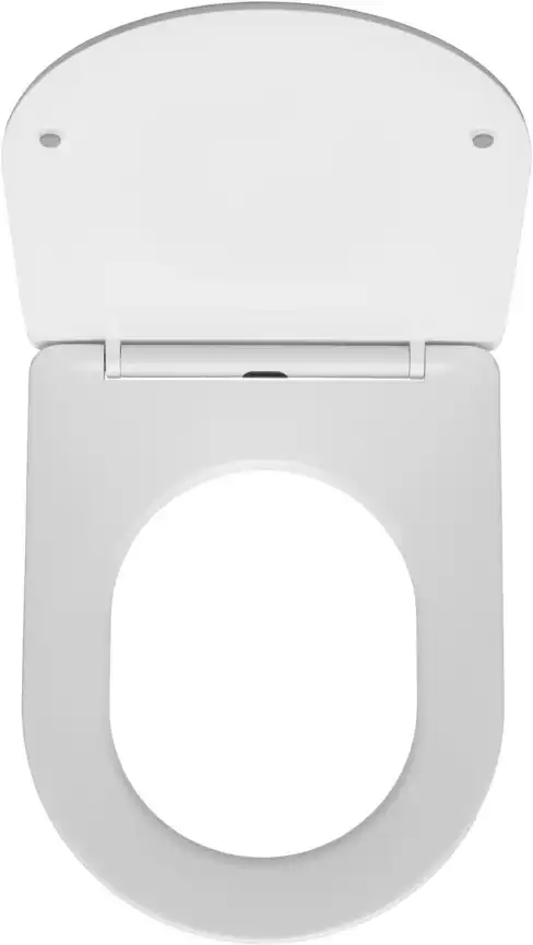 Унитаз подвесной Logan Tornado L1W с сиденьем микролифт, белый фото 4