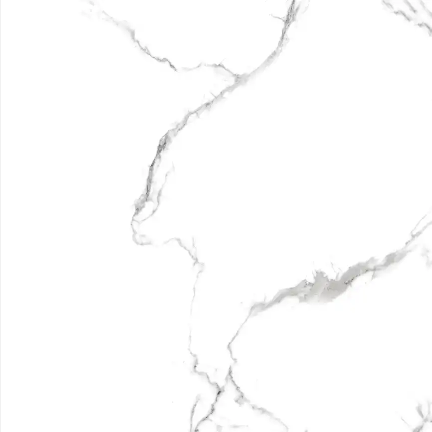 Керамогранит AZARIO CALACATTA  ELEGANZA 60х60 Glossy (F109082189G) фото 13