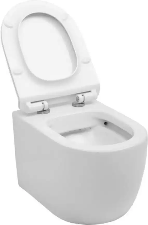 Унитаз подвесной Aquanet Rimless Cetus-W BL-102N-WHT с сиденьем микролифт, белый фото 5