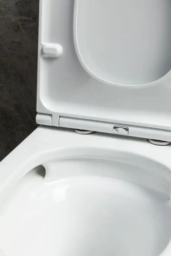 Напольный унитаз Allen Brau Priority Tornado 4.31006.20 безободковый, цвет белый глянец фото 5