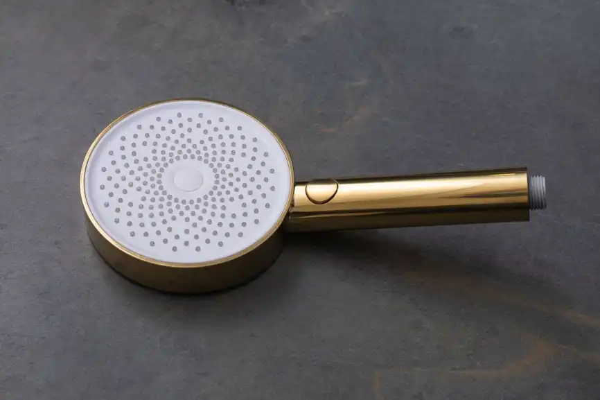Душевая лейка Allen Brau Priority 5.31B20-GB золото брашированное фото 8