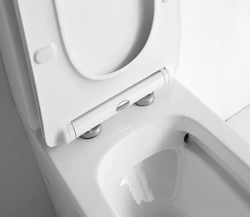 Унитаз-компакт CeramaLux TR2170, безободковый, с бачком и сидением микролифт (Система смыва торнадо) фото 2