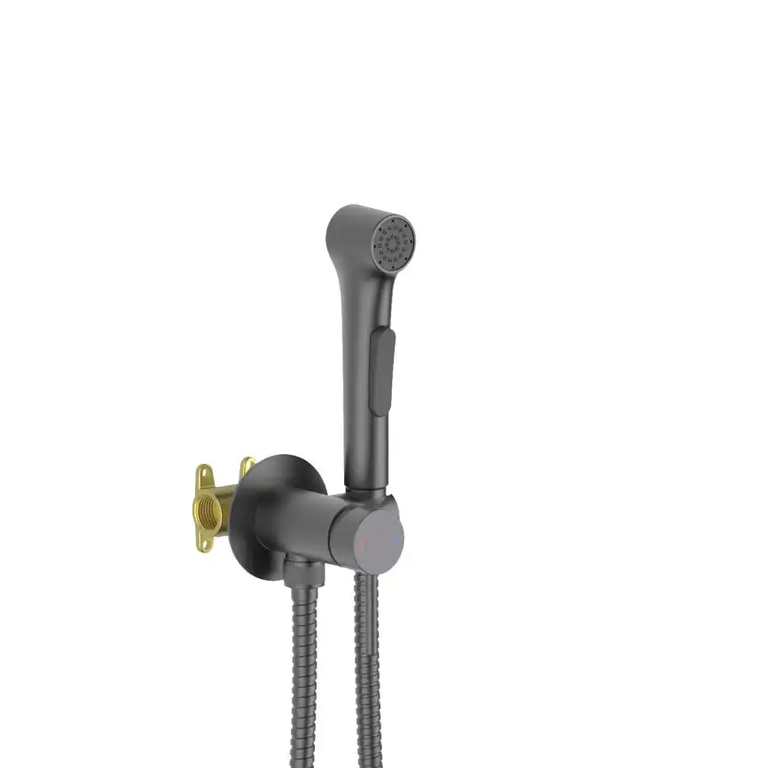 Смеситель с гигиеническим душем Aquatek Европа AQ1020BGM, Оружейная сталь фото 1