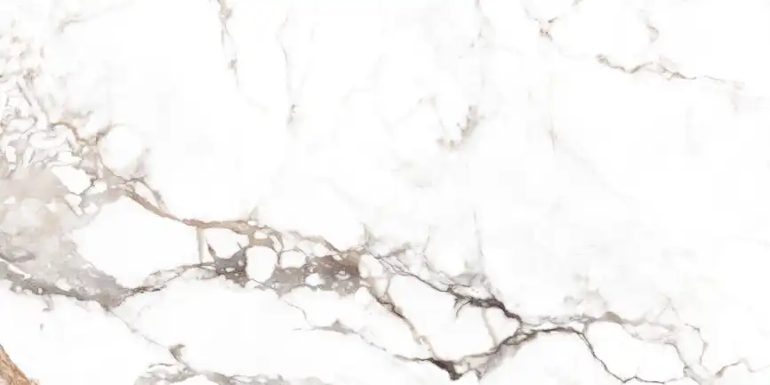 Керамогранит AZARIO REGAL BORGHINI GREY 80х160 Finish glossy (F231123019FG) фото 1