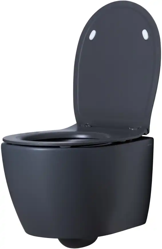 Подвесной безободковый унитаз Allen Brau Fantasy 4.11004.AN без сиденья, антрацит фото 7