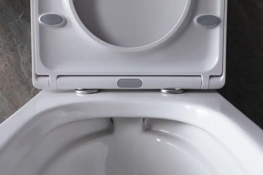 Подвесной безободковый унитаз Allen Brau Infinity 4.21004.20 без сиденья, белый глянец фото 27