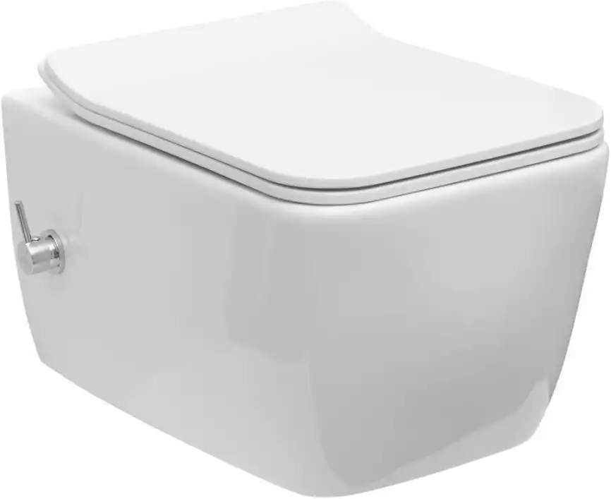 Подвесной унитаз Allen Brau Liberty 4.33009.20 безободковый, цвет белый фото 1