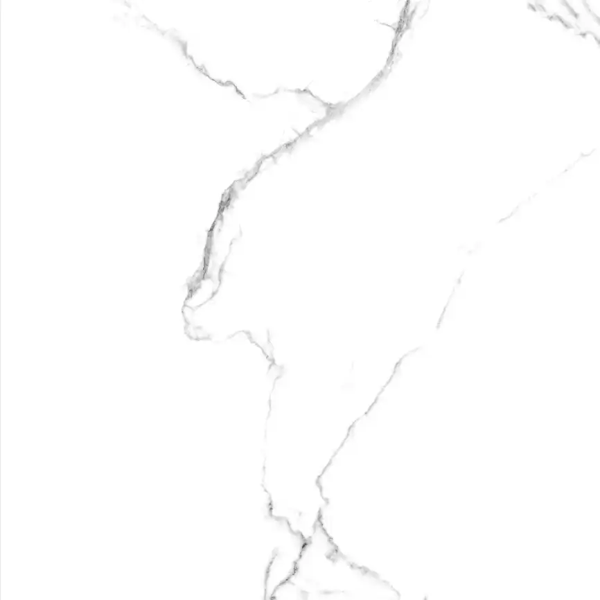 Керамогранит AZARIO CALACATTA  ELEGANZA 60х60 Glossy (F109082189G) фото 5