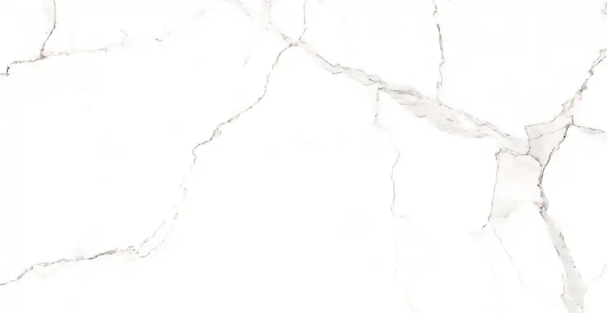 Керамогранит AZARIO STATUARIO CLASSIC 60х120 Matt (F2020821120M) фото 4
