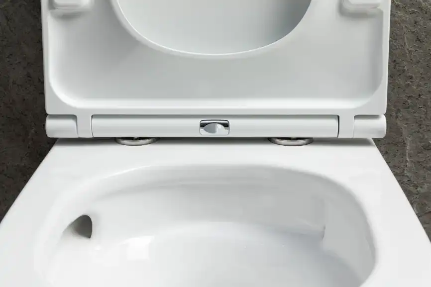 Подвесной унитаз Allen Brau Priority Tornado 4.31009.20 безободковый, цвет белый глянец фото 4