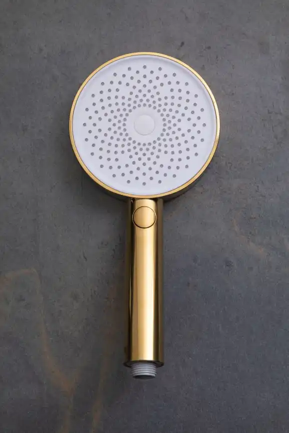 Душевая лейка Allen Brau Priority 5.31B20-GB золото брашированное фото 9