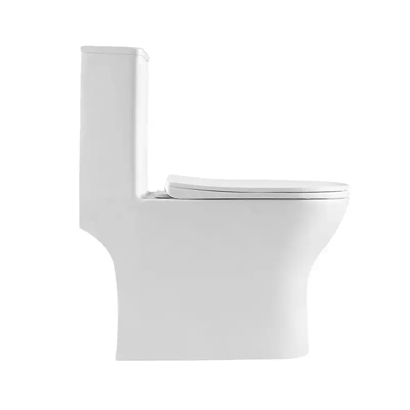 Унитаз-моноблок BelBagno LOUNGE BB8618CPR-MN/SC, безободковый, с сиденьем микролифт, Белый фото 3
