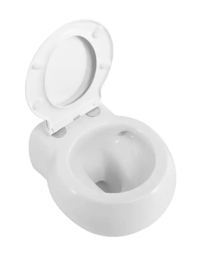 Подвесной унитаз CEZARES GRANDE CZR-308-TH-TOR/SC, со смывом TORNADO, с сиденьем микролифт фото 3