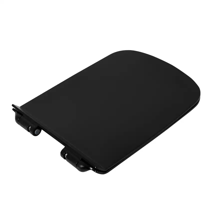 Крышка-сиденье BelBagno SELA BB3201SC-MB фото 1